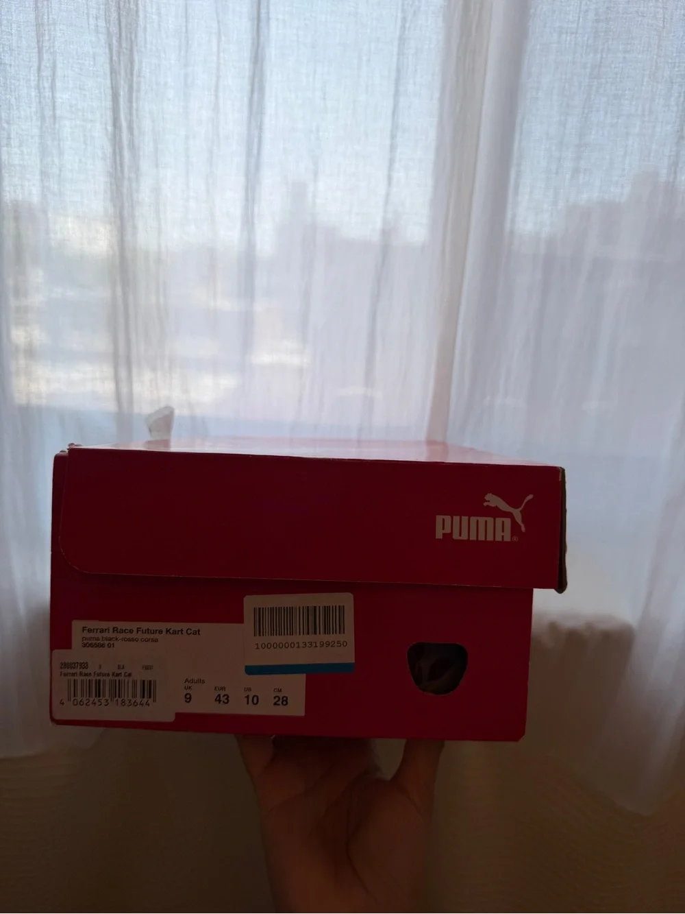 Puma ferrari race